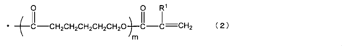 Figure JPOXMLDOC01-appb-C000040