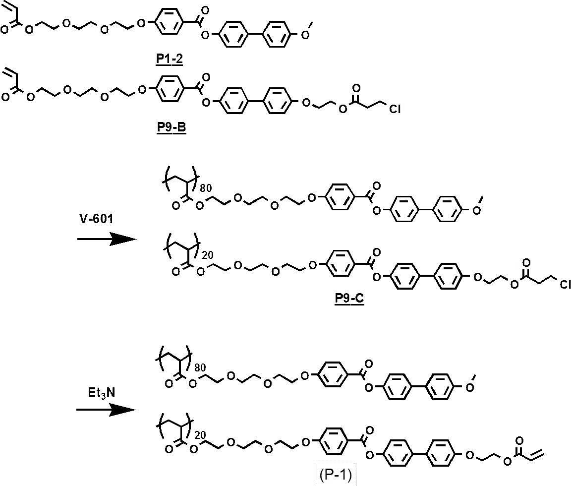 Figure JPOXMLDOC01-appb-C000016