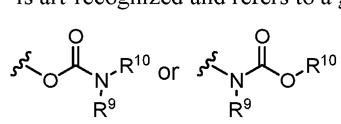 Figure imgf000051_0001