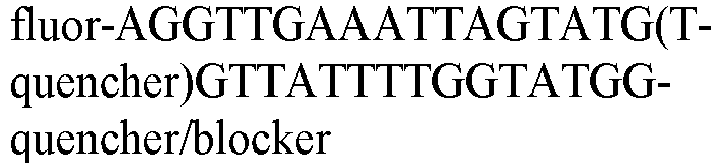 Figure imgb0013