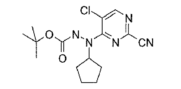 Figure imgb0079