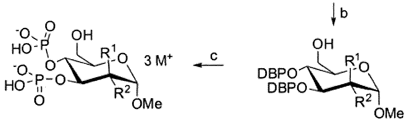 Figure imgf000024_0002