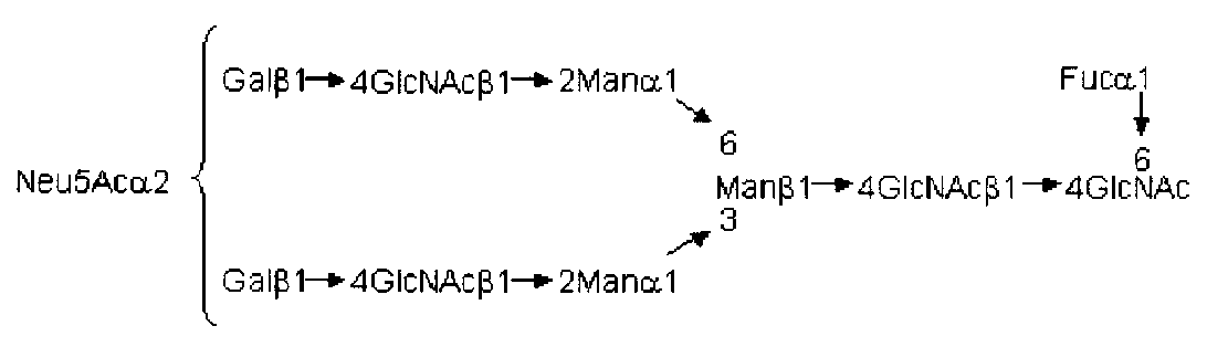 Figure JPOXMLDOC01-appb-C000019