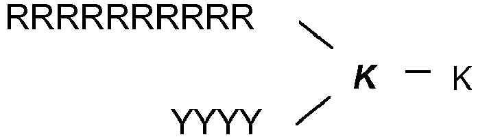 Figure imgb0010