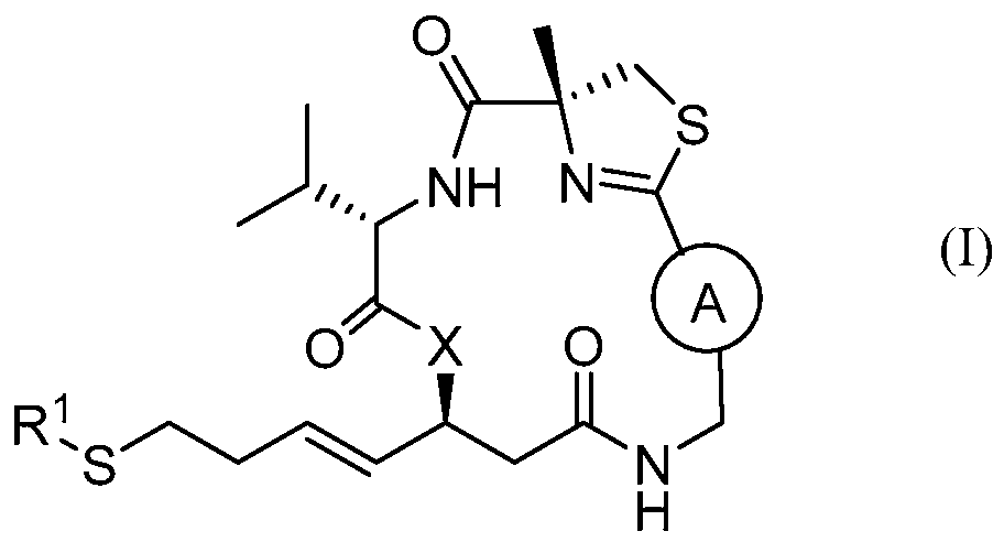 Figure imgf000009_0001
