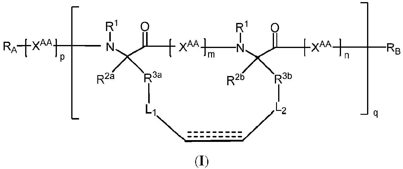 Figure imgb0102