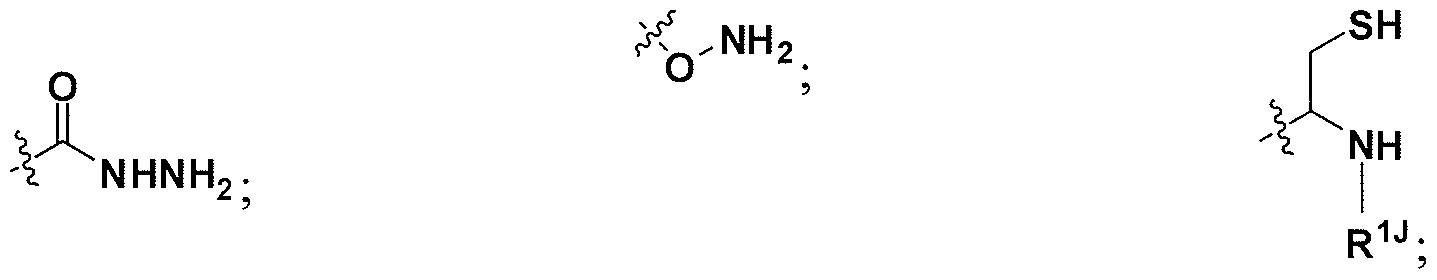 Figure imgf000013_0002