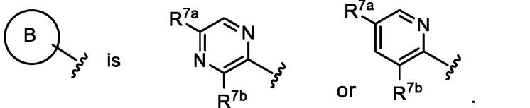 Figure JPOXMLDOC01-appb-C000036