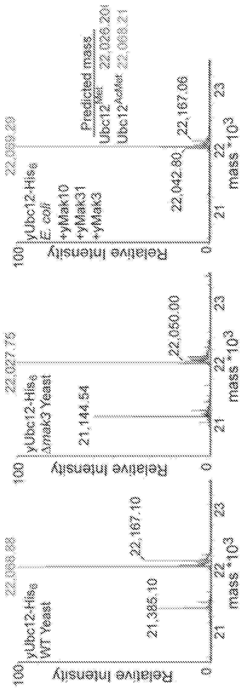 Figure imgf000153_0001