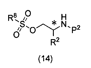 Figure JPOXMLDOC01-appb-C000021
