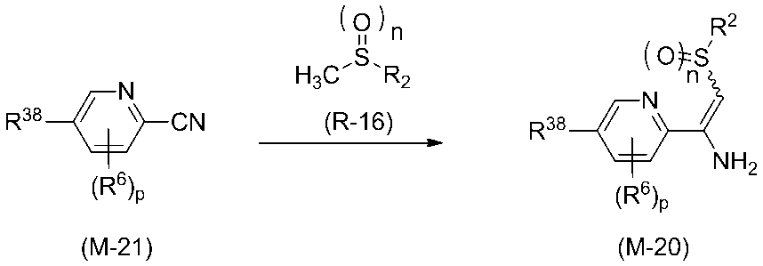 Figure JPOXMLDOC01-appb-C000033