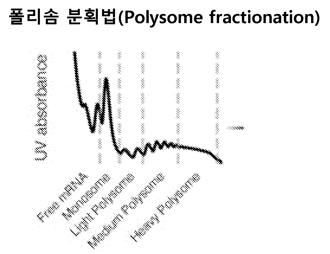 특허 도면 38