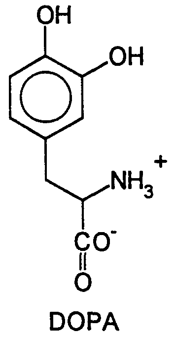Figure imgf000003_0001