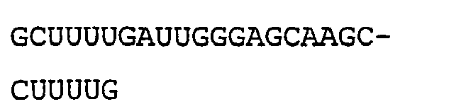 Figure imgb0082