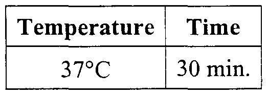Figure imgf000020_0003