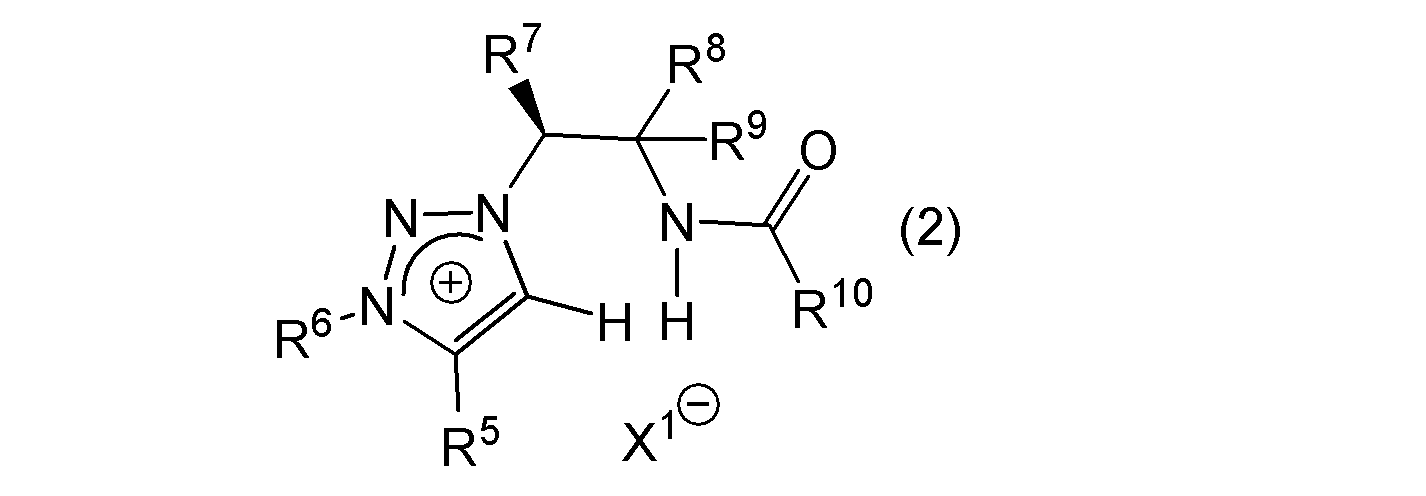 Figure JPOXMLDOC01-appb-C000005