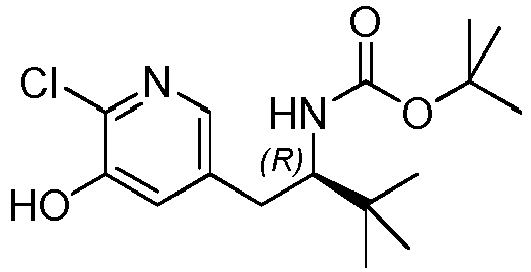 Figure imgb0109