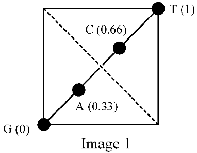 Figure imgb0004