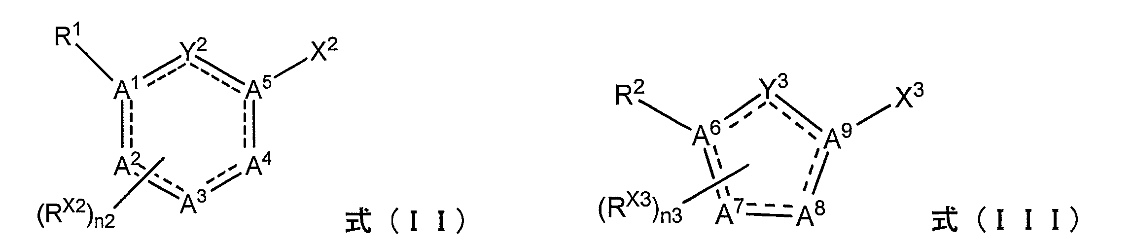 Figure JPOXMLDOC01-appb-C000042