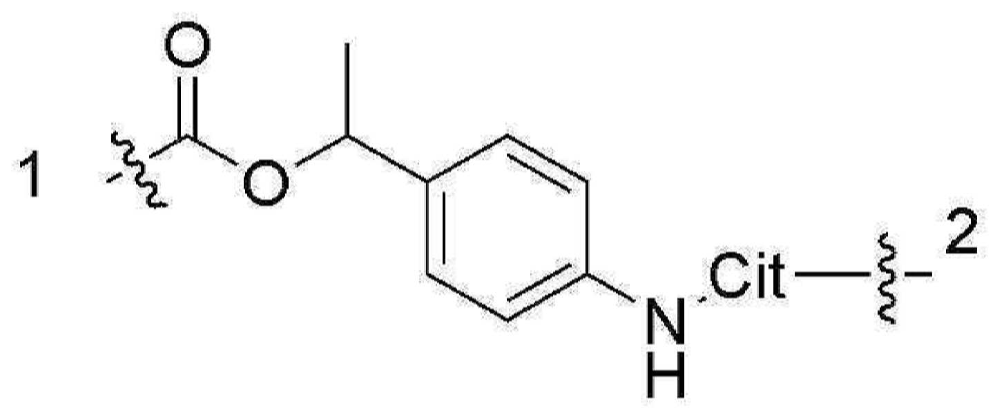 Figure pct00055