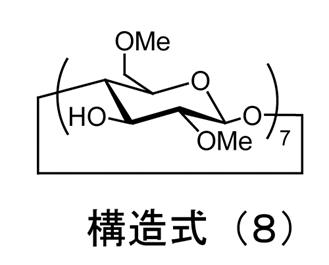 Figure JPOXMLDOC01-appb-C000019