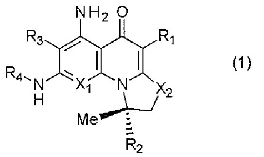 Figure JPOXMLDOC01-appb-C000006