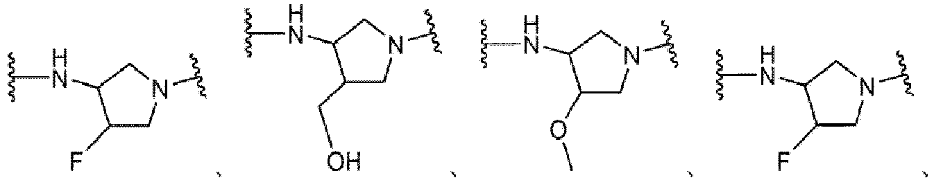 Figure imgb0101