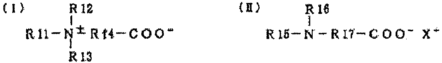 Figure imgb0247