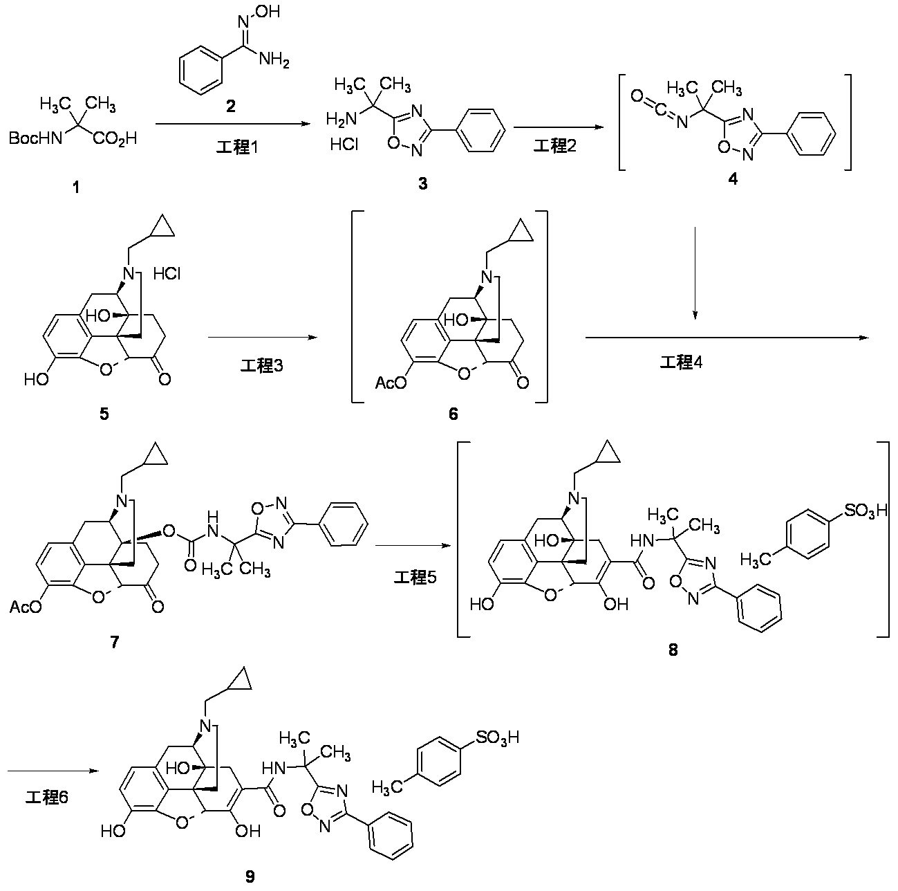 Figure JPOXMLDOC01-appb-C000069