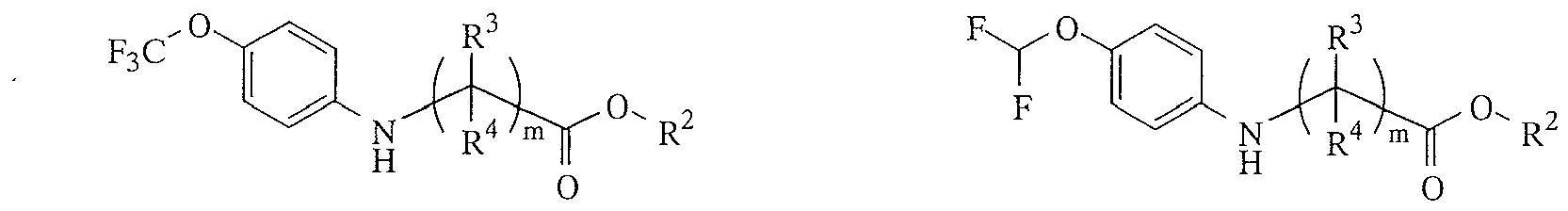 Figure imgb0183