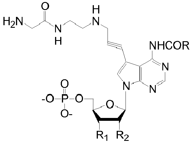 Figure imgb0079