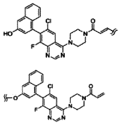 Figure JPOXMLDOC01-appb-C000014