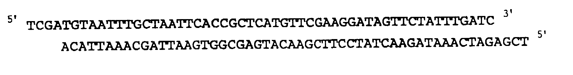 Figure 00220001