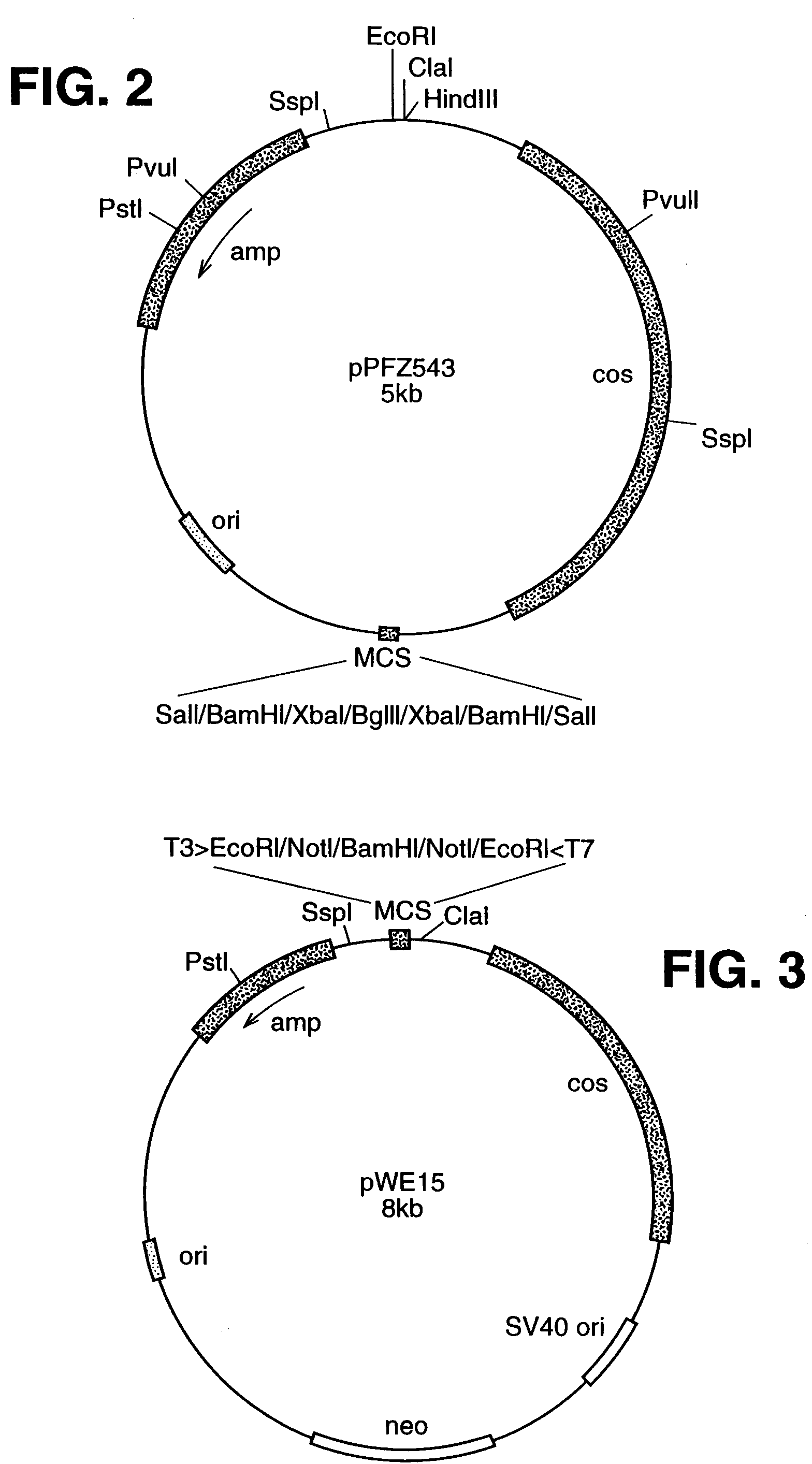 google patents
