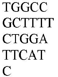 Figure imgb0016