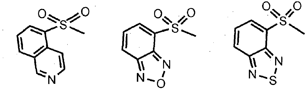 Figure imgb0010
