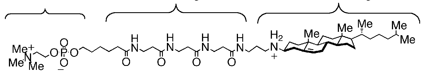 Figure imgf000031_0001