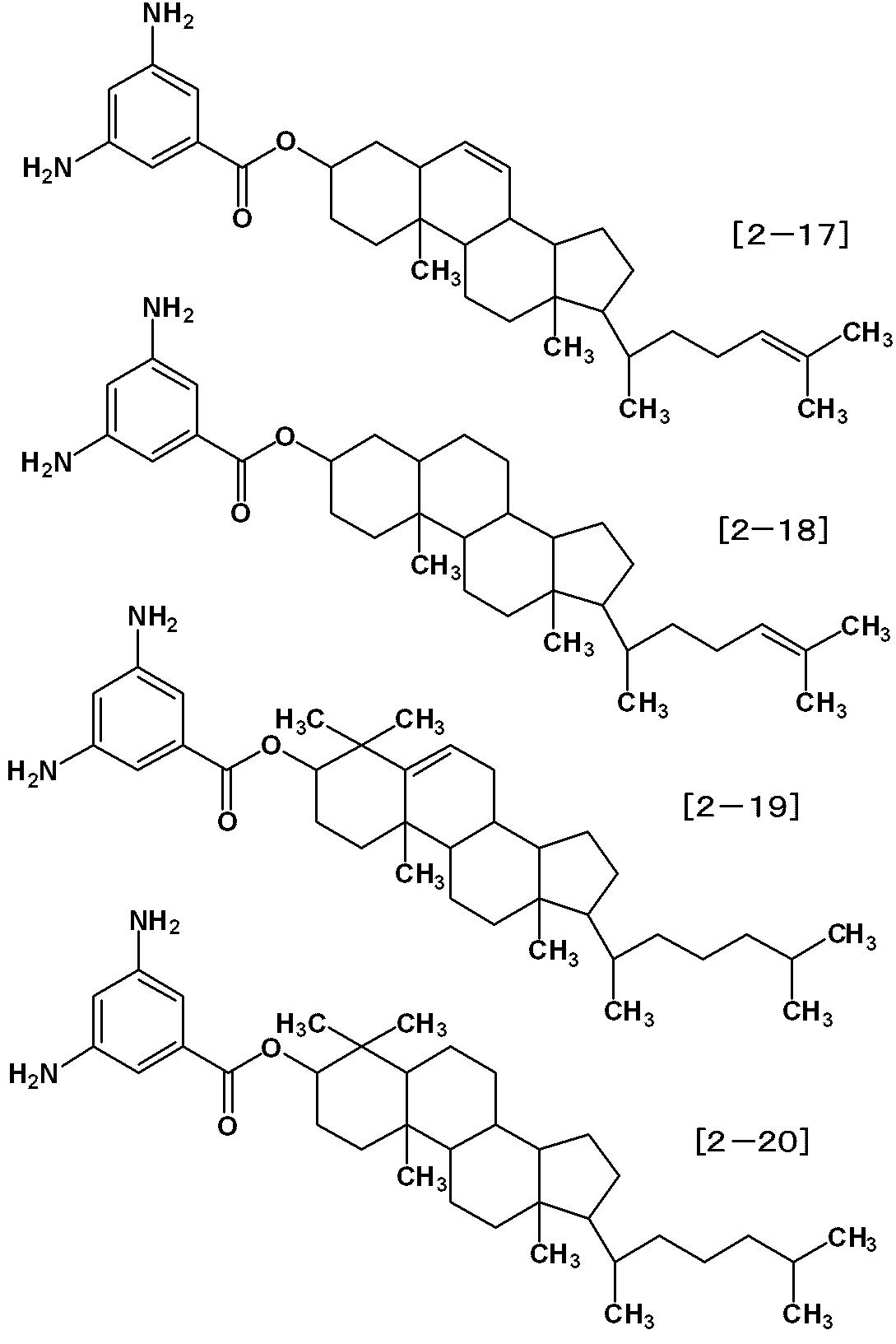Figure JPOXMLDOC01-appb-C000080