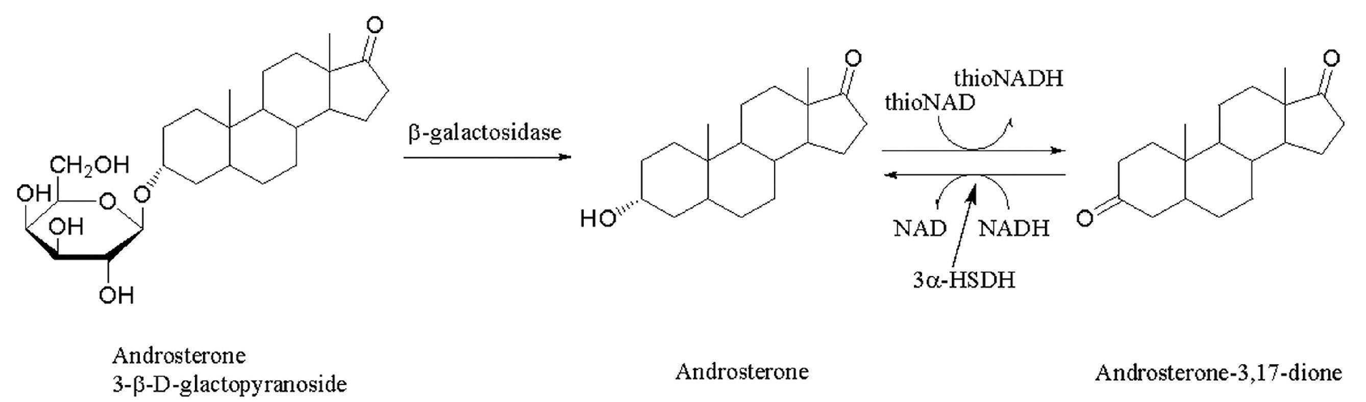 Figure JPOXMLDOC01-appb-C000024