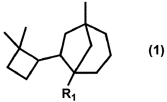 Figure imga0001