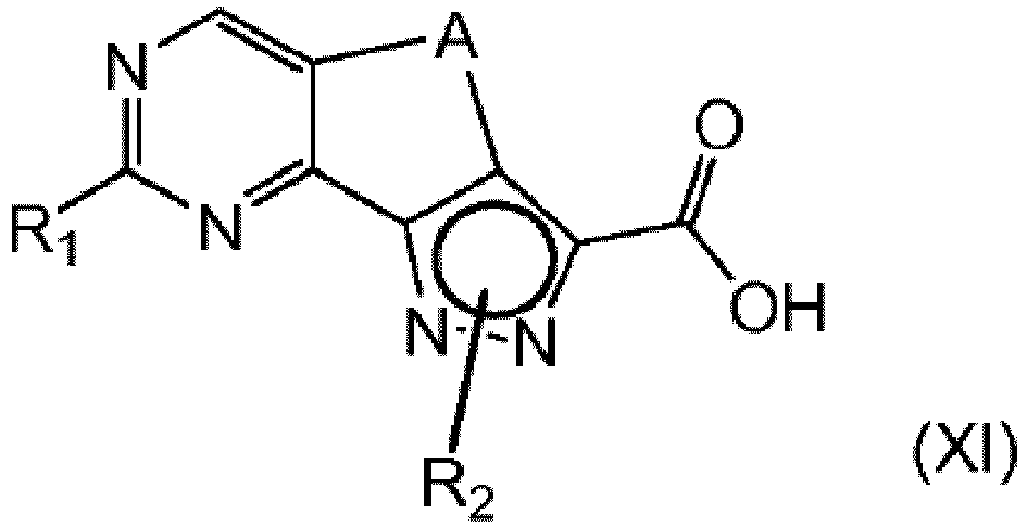 Figure imgb0259