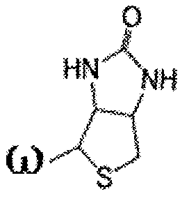 Figure imgf000421_0002