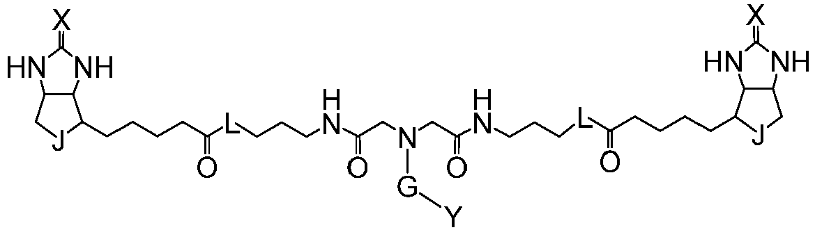 Figure imgb0181