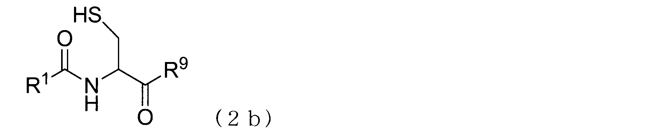 Figure JPOXMLDOC01-appb-C000012