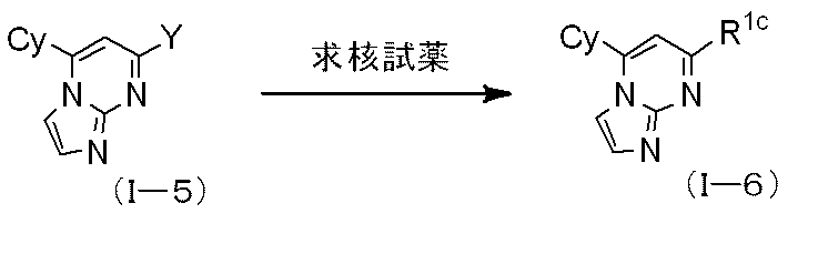 Figure JPOXMLDOC01-appb-C000011