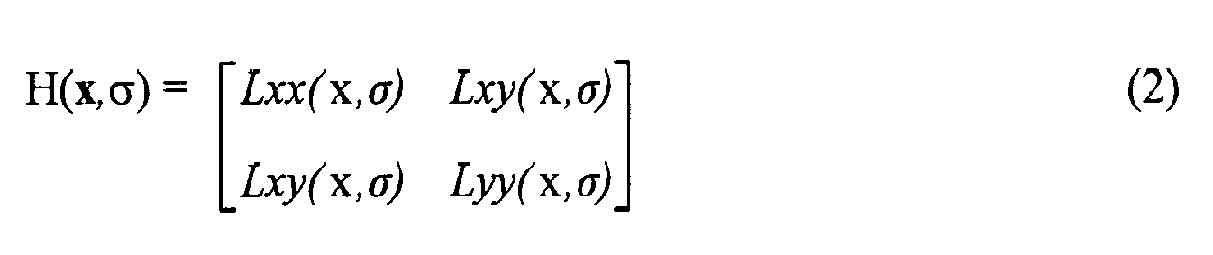 Figure imgb0002