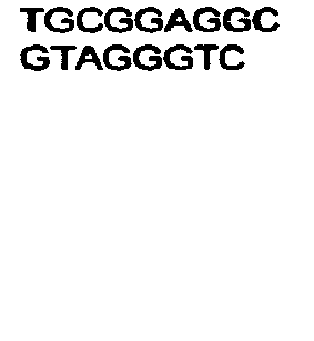 Figure imgb0242