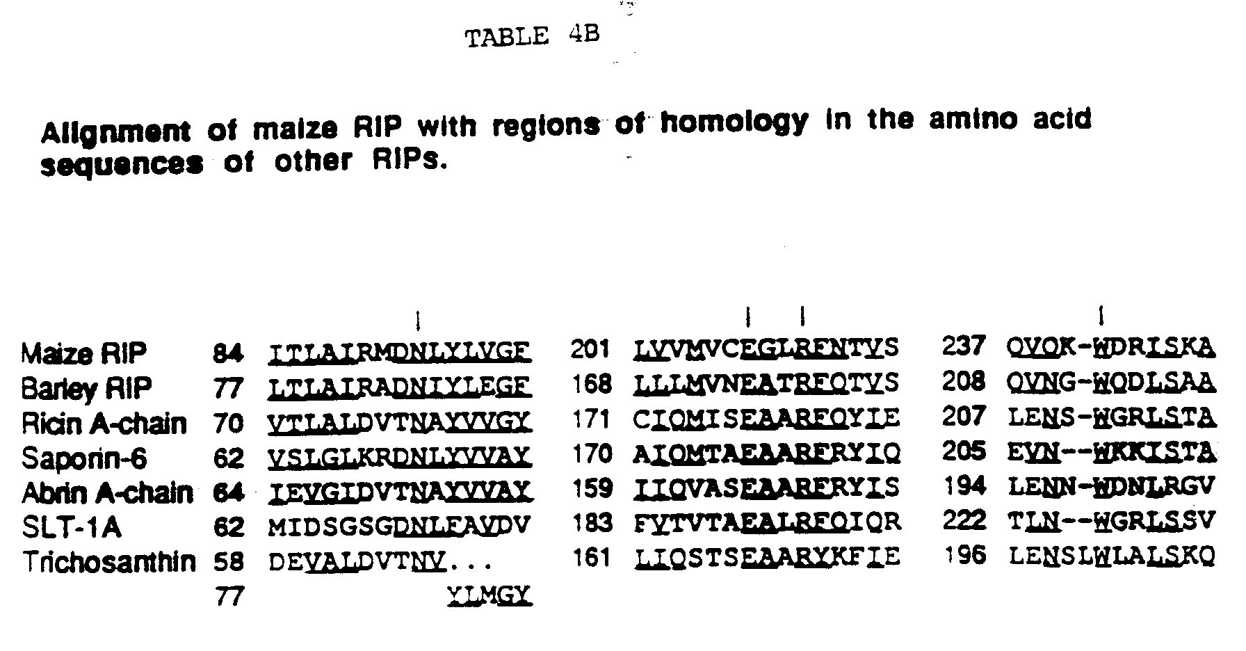 Figure 00240001