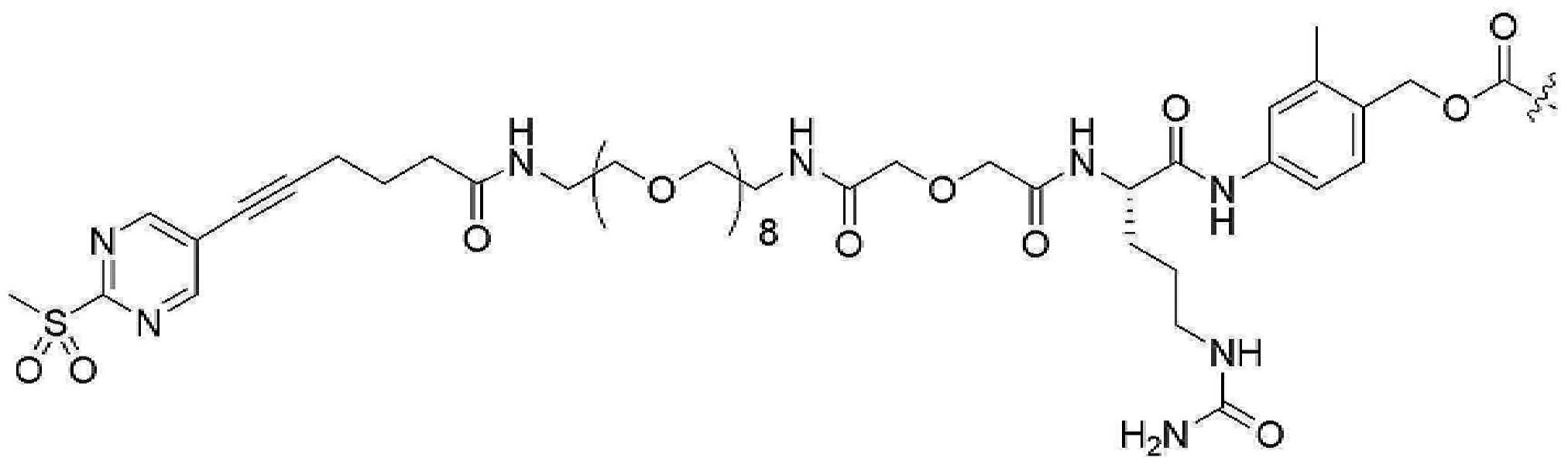 Figure pct00989