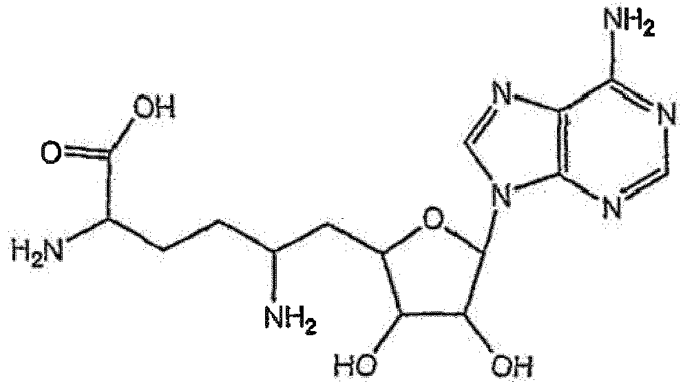 Figure imgb0031